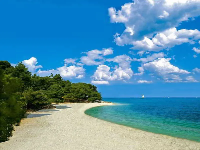 Apartments Kanegra Plava Laguna Umag Holiday park